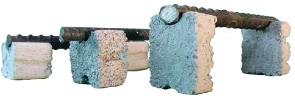 Captura de pantalla 2024-12-12 130036